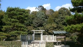 長岡京を築いた桓武天皇の皇后のお墓