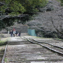 春には桜がきれいでしょうね