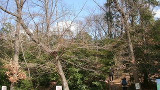 全容が明らかになっていない前方後円墳