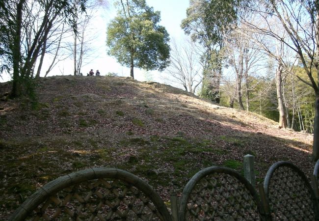 寺戸大塚古墳 クチコミ アクセス 営業時間 長岡京 向日 フォートラベル