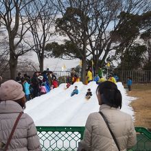 雪まつりの、そりすべり。