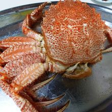 毛ガニは大きくて身が詰まってます！