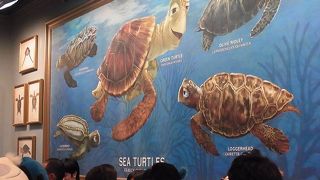 カメとお客が掛け合うアトラクション。カメの動きも的確なので、仕掛けの作りにも興味がわきます。