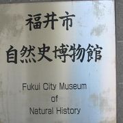 福井市の自然に関する資科を一堂に集めた博物館