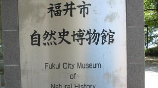 福井市の自然に関する資科を一堂に集めた博物館