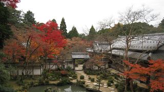 紅葉がきれいでした