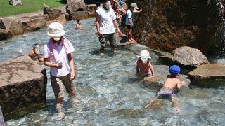 ファミリー向けの真の総合公園