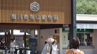 動物の見せ方が面白い！