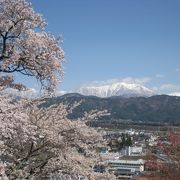 桜とアルプスの眺めがいい。