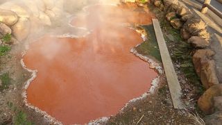 まさに血の色・・・