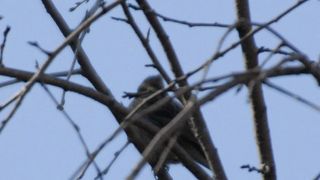 手軽なハイキング