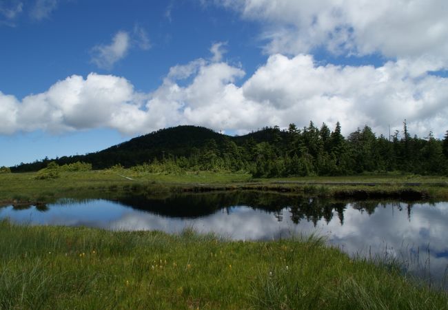 秘境、絶景、鬼怒沼湿原！