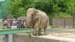 子供をつれていくならここ！