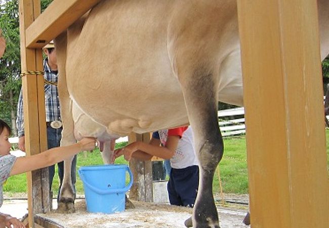 牧歌の里 クチコミ アクセス 営業時間 ひるがの高原 鷲ヶ岳 フォートラベル