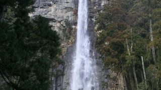 迫力あります！