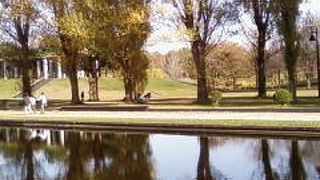 市民と飼い犬の憩いの場♪