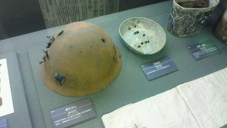 館内に北海道の歴史や生態など様々な展示