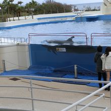 水中の様子が見えるところ