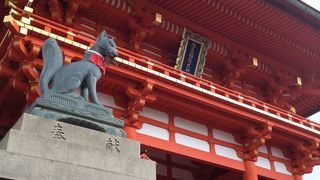 威厳のあるお狐様