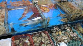 レストランへ行く前に立ち寄るべし！