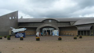 ちょっと微妙・・・