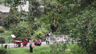 古いけどしっかりした運営のタイピン動物園
