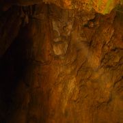 東海地方最大級の観光鍾乳洞です 