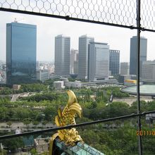 上から外を見たところです。