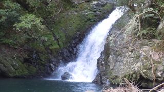 奄美大島の山の景色が素晴らしい