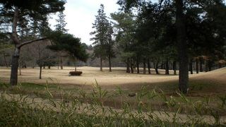 ここも広い公園ですが、まだまだ続きます