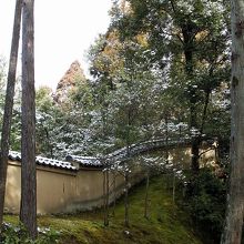 では頑張って年に数度の貴重な雪をお楽しみください。