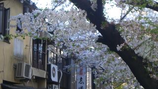 白川とはまた違った趣