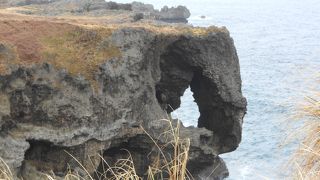 お馴染みの象さん
