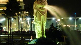 夜景巡りできます