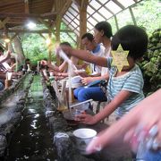 冷たい湧水で流しそうめん