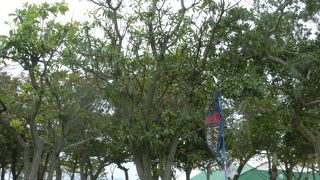 日本ハムファイターズのキャンプ地