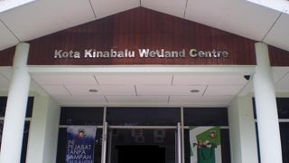 野鳥観察なら早朝がおすすめ