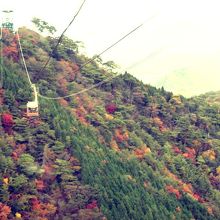 六甲山の紅葉とロープウエー