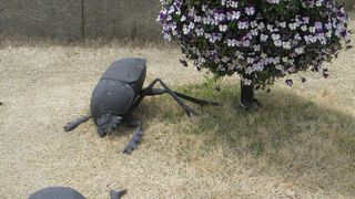 家族連れで賑わう公園♪