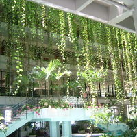 いかにも南国といった感じのホテル内