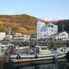 中央奥の建物