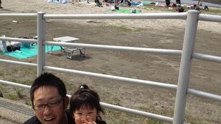 子連れ　潮干狩り