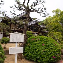 人がおらず静かに参拝できました