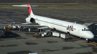 動物の置き物(?)がたくさんある空港