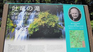 森林浴と清流を楽しむ