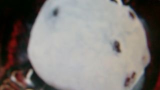 原宿　瑞穂の豆大福は一晩経つとおもちが硬くなる、昔ながらの本物です。