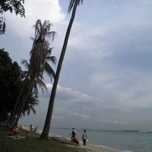 一応南国ビーチです♪