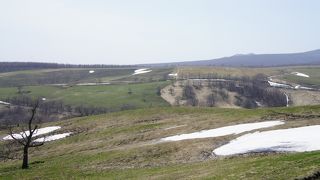 ツリーハウスに注目