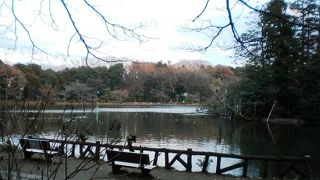 上のボート池だけでなく、ホタル州や静かな下の池もあります