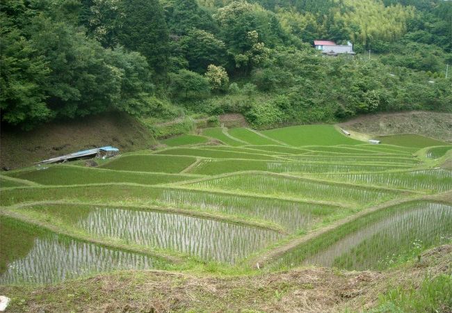 栃木のすばらしい棚田